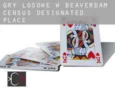 Gry losowe w  Beaverdam