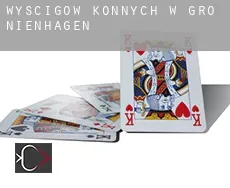 Wyścigów konnych w Groß Nienhagen