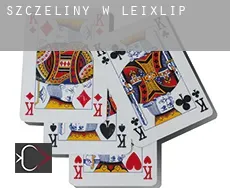 Szczeliny w  Leixlip