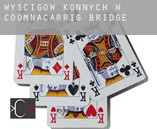 Wyścigów konnych w  Coomnacarrig Bridge