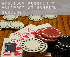 Wyścigów konnych w Valewood at Hampton Gardens