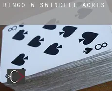 Bingo w  Swindell Acres