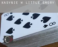 Kasynie w  Little Emory