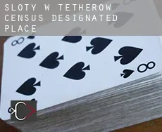 Sloty w  Tetherow