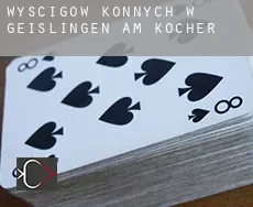 Wyścigów konnych w Geislingen am Kocher