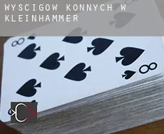 Wyścigów konnych w  Kleinhammer