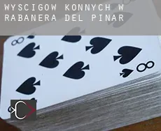 Wyścigów konnych w  Rabanera del Pinar