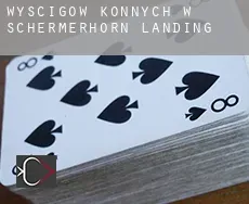 Wyścigów konnych w  Schermerhorn Landing