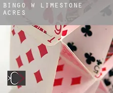 Bingo w Limestone Acres