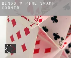 Bingo w  Pine Swamp Corner