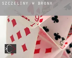 Szczeliny w  Bronx