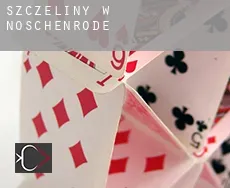 Szczeliny w  Nöschenrode