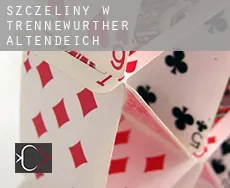 Szczeliny w  Trennewurther Altendeich