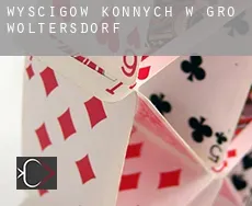 Wyścigów konnych w Groß Woltersdorf