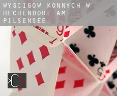 Wyścigów konnych w  Hechendorf am Pilsensee