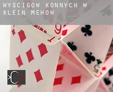 Wyścigów konnych w  Klein Mehßow