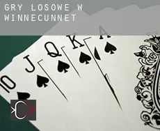 Gry losowe w  Winnecunnet