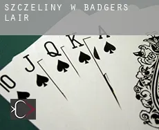 Szczeliny w  Badgers Lair