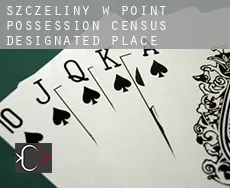 Szczeliny w Point Possession