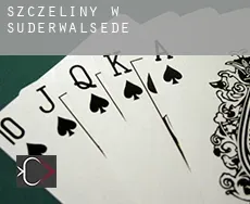 Szczeliny w  Süderwalsede