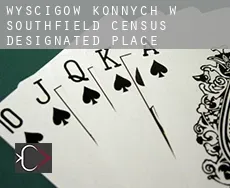 Wyścigów konnych w  Southfield