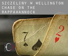 Szczeliny w  Wellington Chase on the Rappahannock