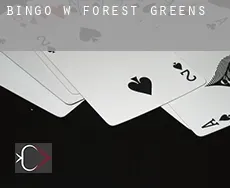 Bingo w  Forest Greens