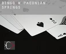Bingo w  Paeonian Springs