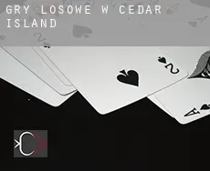 Gry losowe w Cedar Island