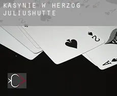 Kasynie w  Herzog Juliushütte