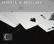 Kasynie w  Westland