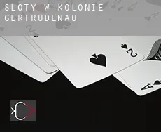 Sloty w Kolonie Gertrudenau