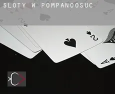 Sloty w  Pompanoosuc