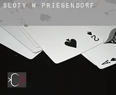 Sloty w  Priegendorf