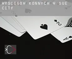Wyścigów konnych w Sue City