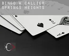 Bingo w  Callier Springs Heights