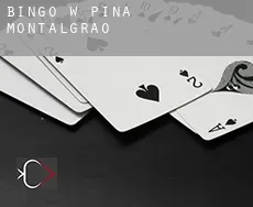 Bingo w Pina de Montalgrao
