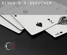 Bingo w Ribbrocker