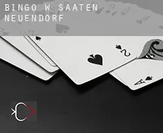 Bingo w  Saaten-Neuendorf