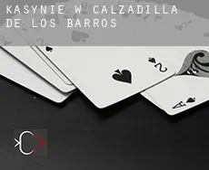 Kasynie w Calzadilla de los Barros