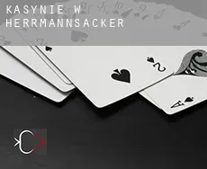 Kasynie w Herrmannsacker