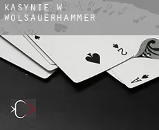 Kasynie w Wölsauerhammer
