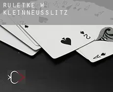 Ruletkę w Kleinneusslitz