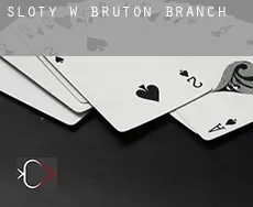Sloty w Bruton Branch