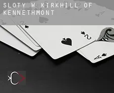Sloty w  Kirkhill of Kennethmont