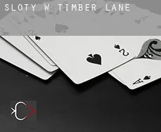Sloty w Timber Lane