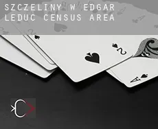 Szczeliny w  Edgar-Leduc (census area)
