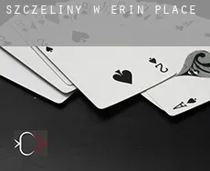Szczeliny w  Erin Place