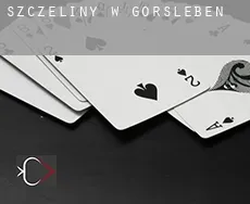 Szczeliny w Gorsleben