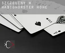 Szczeliny w Habighorster Höhe